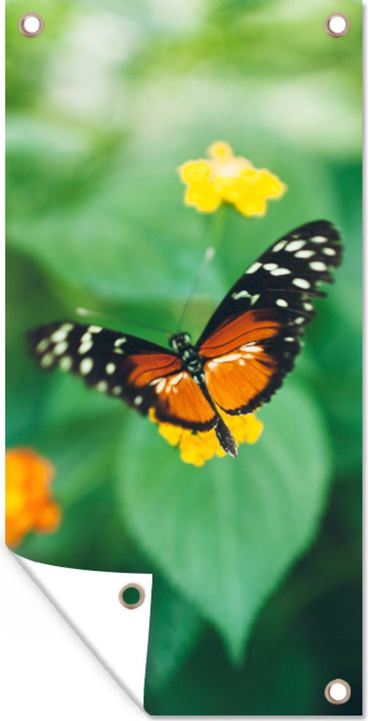 MuchoWow 30x60 cm Outdoor-Poster Gartendeko Sichtschutz Garten Poster für den Garten Schmetterling auf Blume