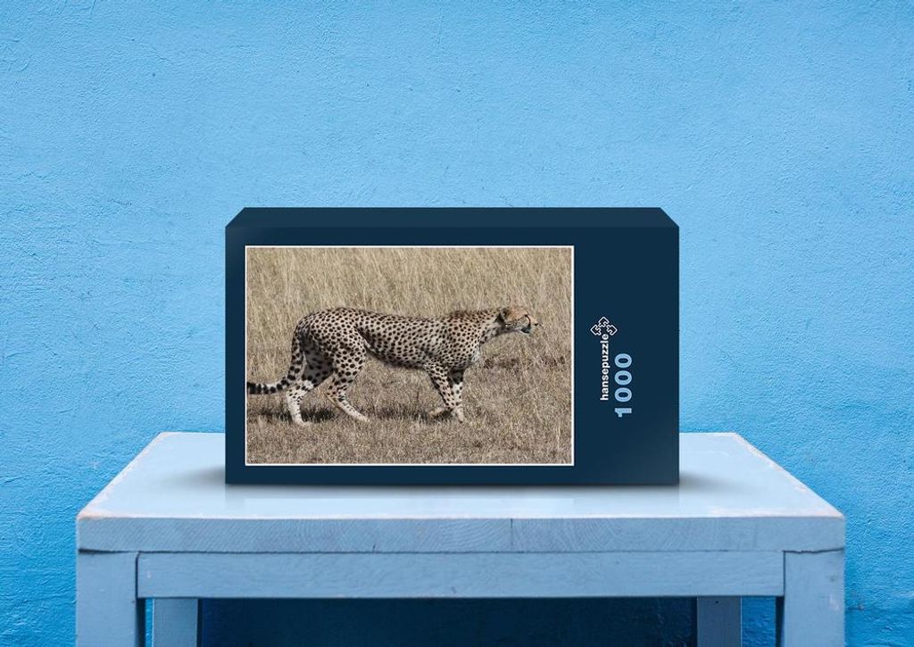 hansepuzzle 53265 - Gepard Puzzle, 1000 Teile, Tierwelt, 60,0 x 46,0cm mit hochwertiger Aufbewahrung, Kartonbox und wiederverschließbarem Beutel