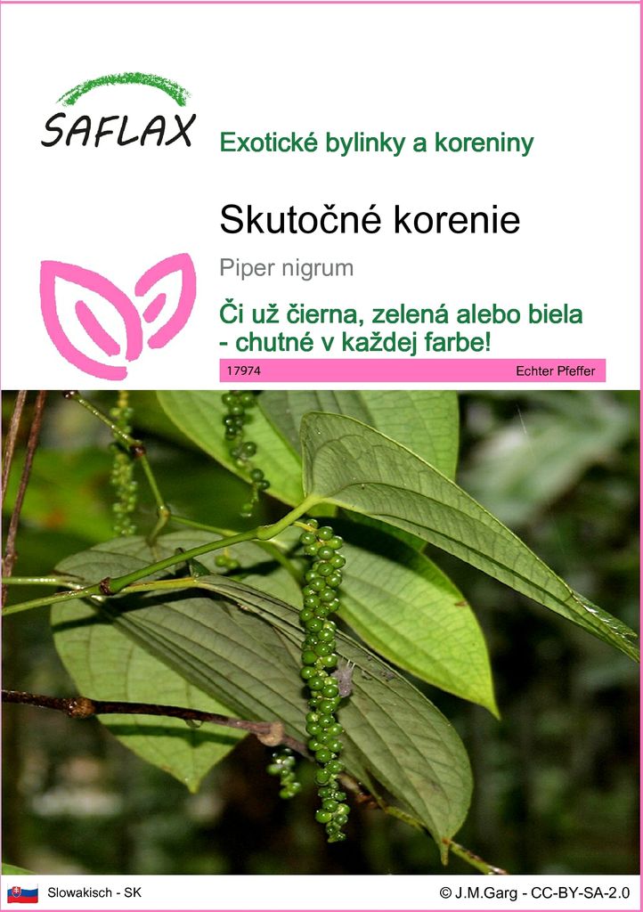 SAFLAX - skutočné korenie - Piper nigrum - 20 Semená Obrázok produktu 