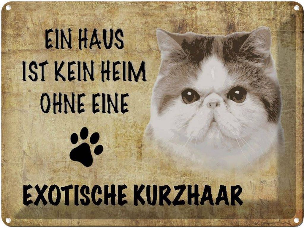 vianmo Blechschild 30x40 cm exotische Kurzhaar Katze