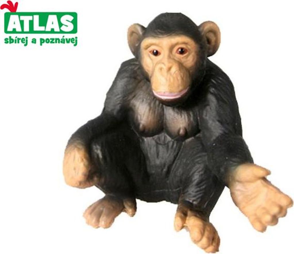 Detaillierte und realistische Schimpanse Tierfigur aus Kunststoff, 5,5 cm groß