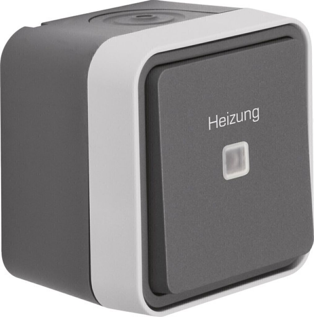 BERKER GMBH Berker Kontroll-Wechselschalter 35663505 Aufdr.Heizung Notschalter AP W.1 lichtg