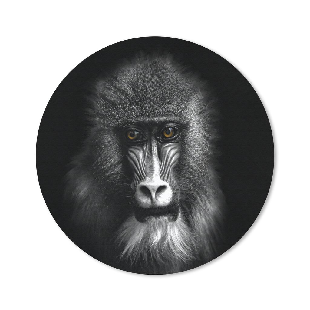 MuchoWow Mauspad Mousepad Affe - Tiere - Augen - Braun - Schwarz und weiß 50x50 cm - Mousepads - Maus Mat - Pad - Mausunterlage - Vinyl