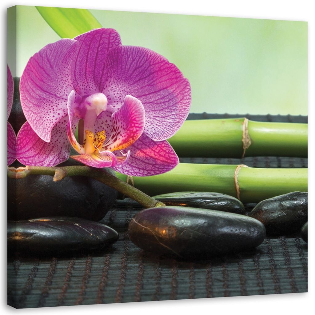 Leinwandbild blühende orchidee auf schwarzen steinen 30x30 cm Feeby rosa wandbild bereit zum aufhängen