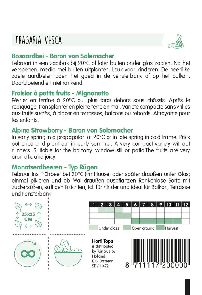 Samen - MONATSERDBEEREN 'BARON VON SOLEMACHER'