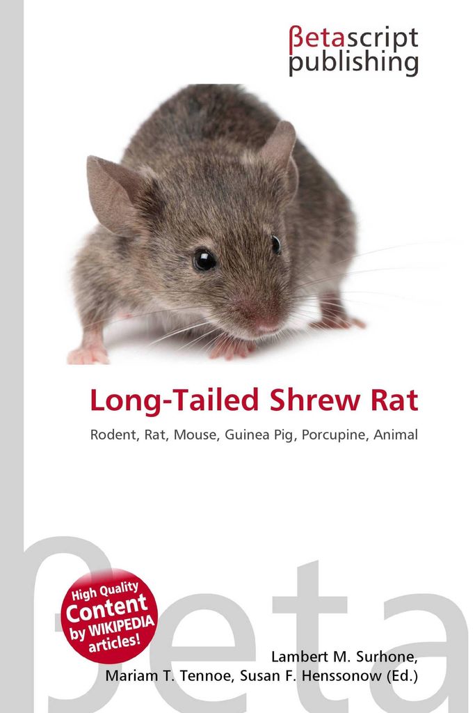 Long-Tailed Shrew Rat