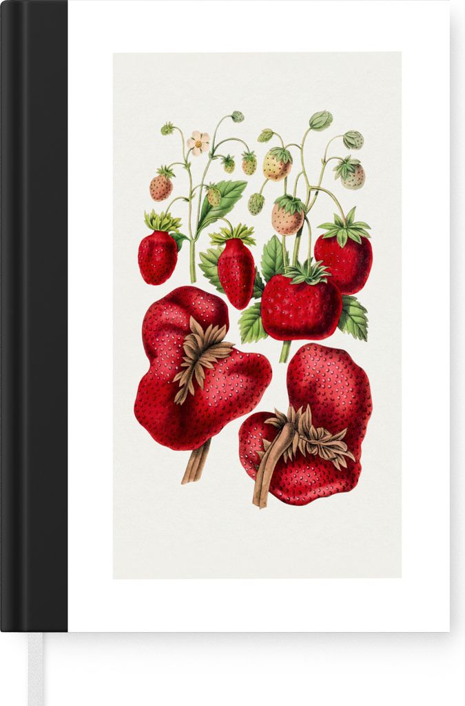 MuchoWow Notizbuch Tagebuch Haushaltsbuch Notebook A5 Lebensmittel - Erdbeeren - Obst - Notizblock - Notizheft - Notebook - Schreibblock - Papier