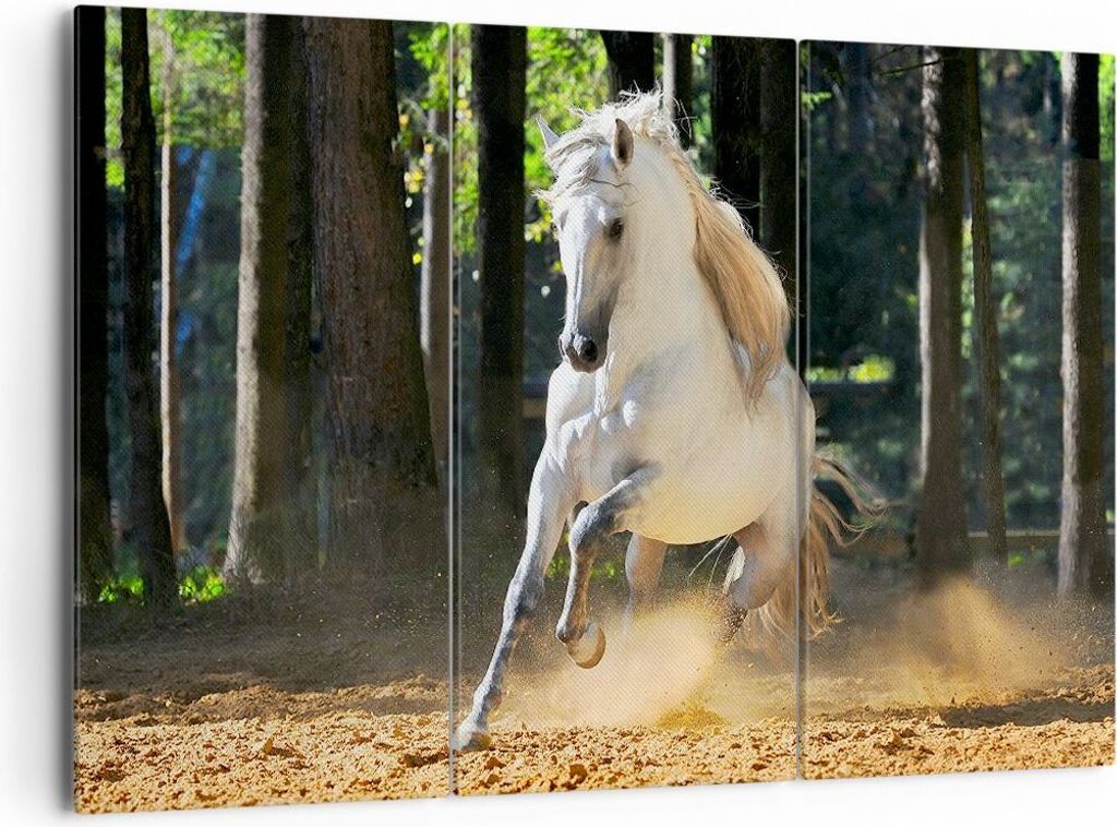 Bild auf Leinwand - Leinwandbild - Staub Emotionen Pferd Natur - 165x110cm - Wand Bild - Wanddeko - Leinwanddruck - Bilder - Kunstdruck - Wanddekor...