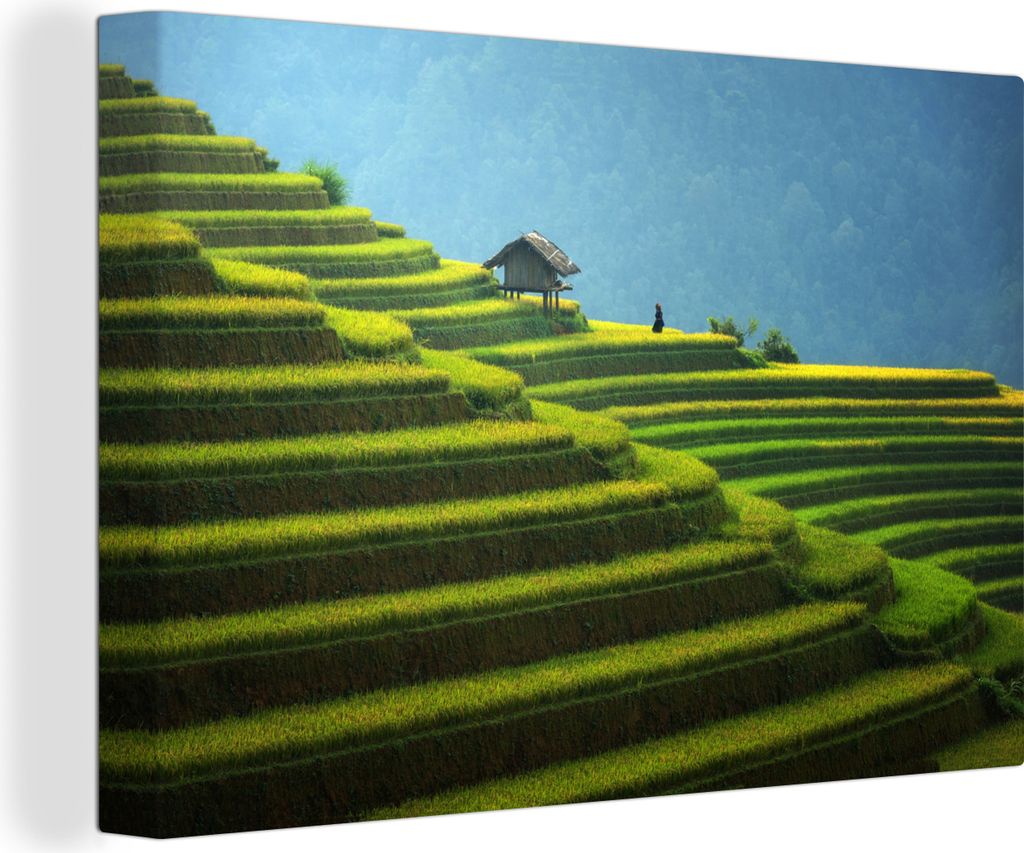 OneMillionCanvasses - Leinwandbilder - 140x90 cm, Die riesigen Sawas von Malaysia, Wandbilder Kunstdruck Wanddekoration - Foto auf Leinwand - Gem...