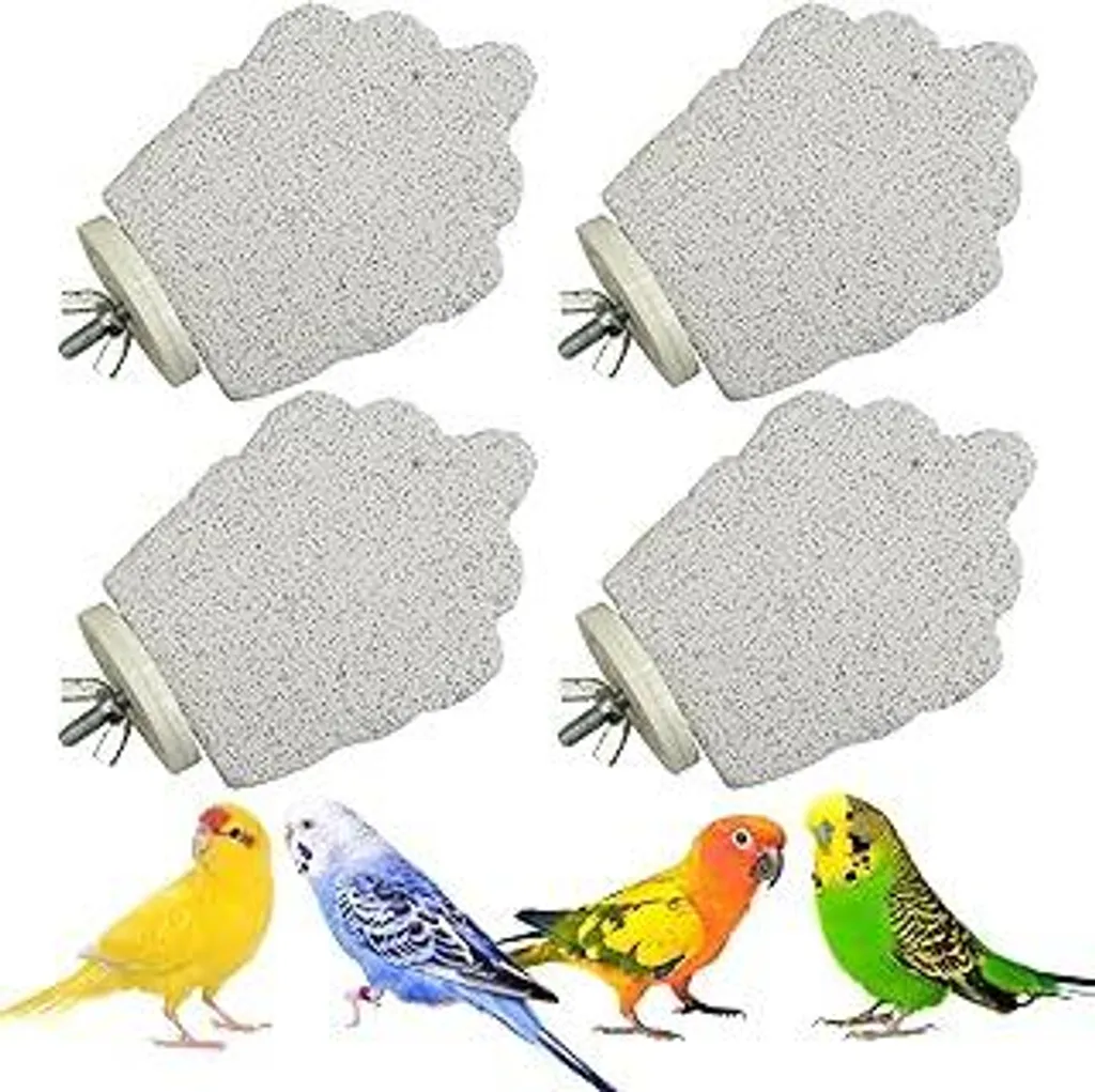 Set 4 Posatoi PINVNBY per Uccelli: Accessori Gabbia Anti-Noia in Pietra