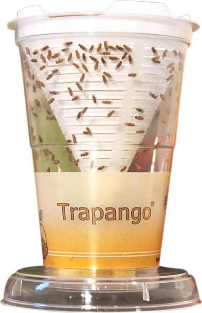 Trapango - Živá past na ovocné mušky Obrázek produktu 
