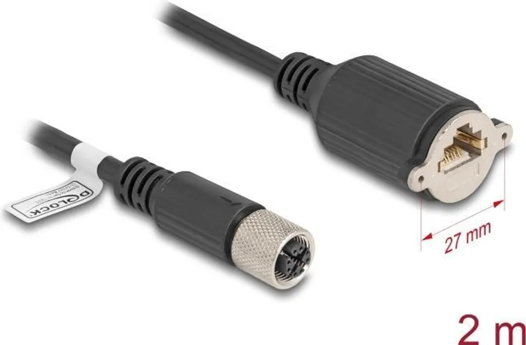 Câble Réseau Delock 80461 M12-X vers RJ45 S/FTP CAT 6a de 2m Noir