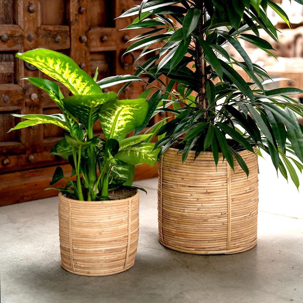 Rattan Korb Topf Ø 31 x 31cm rund mit Einsatz Blumentopf geflochten Aufbewahrungskorb Übertopf Blumenkorb