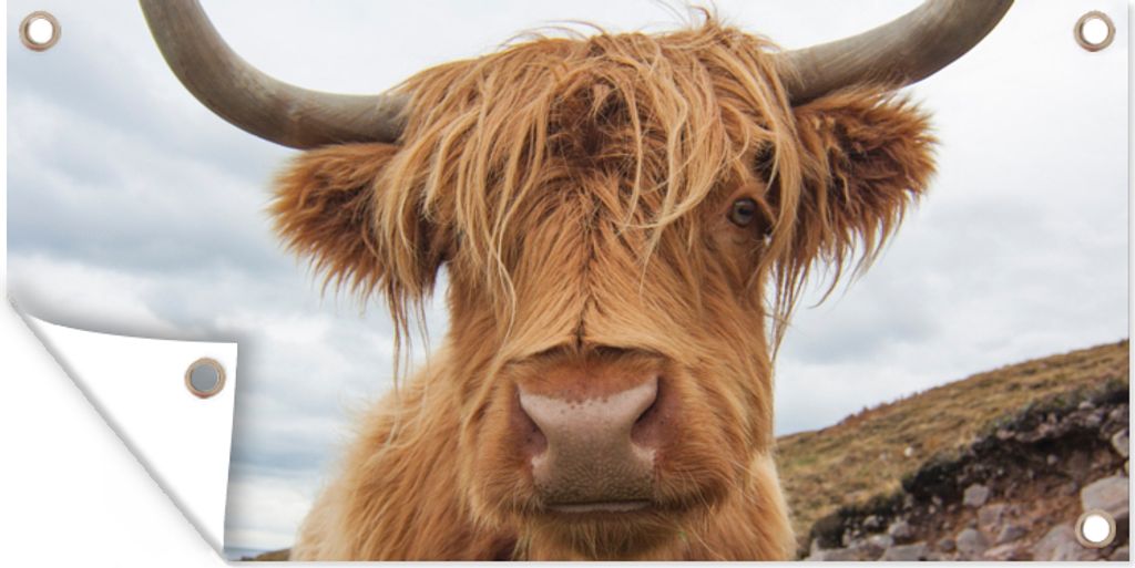 MuchoWow 60x30 cm Outdoor-Poster Gartendeko Sichtschutz Garten Poster für den Garten Schottischer Highlander - Hörner - Berg