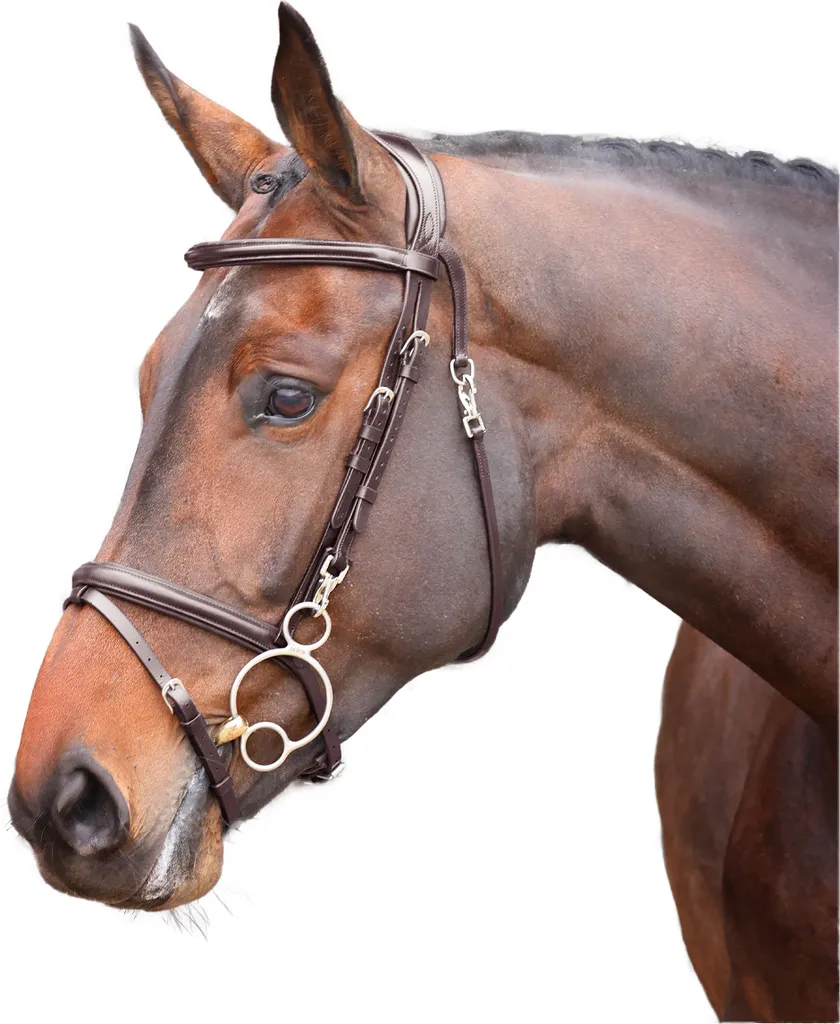 Velociti - Zaumzeug "Rapida", Leder, Training ER2049 (XFull) (Braun)