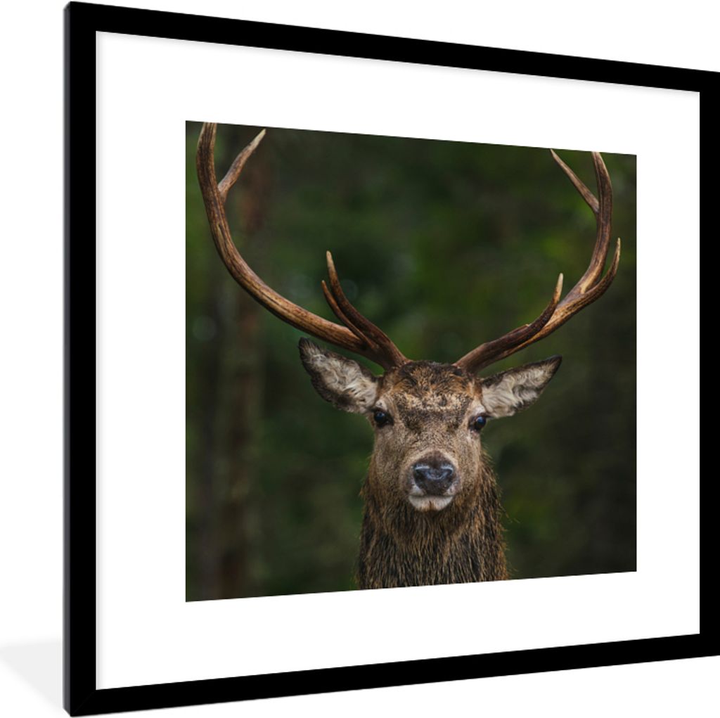 MuchoWow Gerahmtes Poster Hirsch - Geweih - Natur 40x40 cm - Poster mit Schwarzem Bilderrahmen Wandposter Rahmen Foto Bilder - Poster - Plakat im...