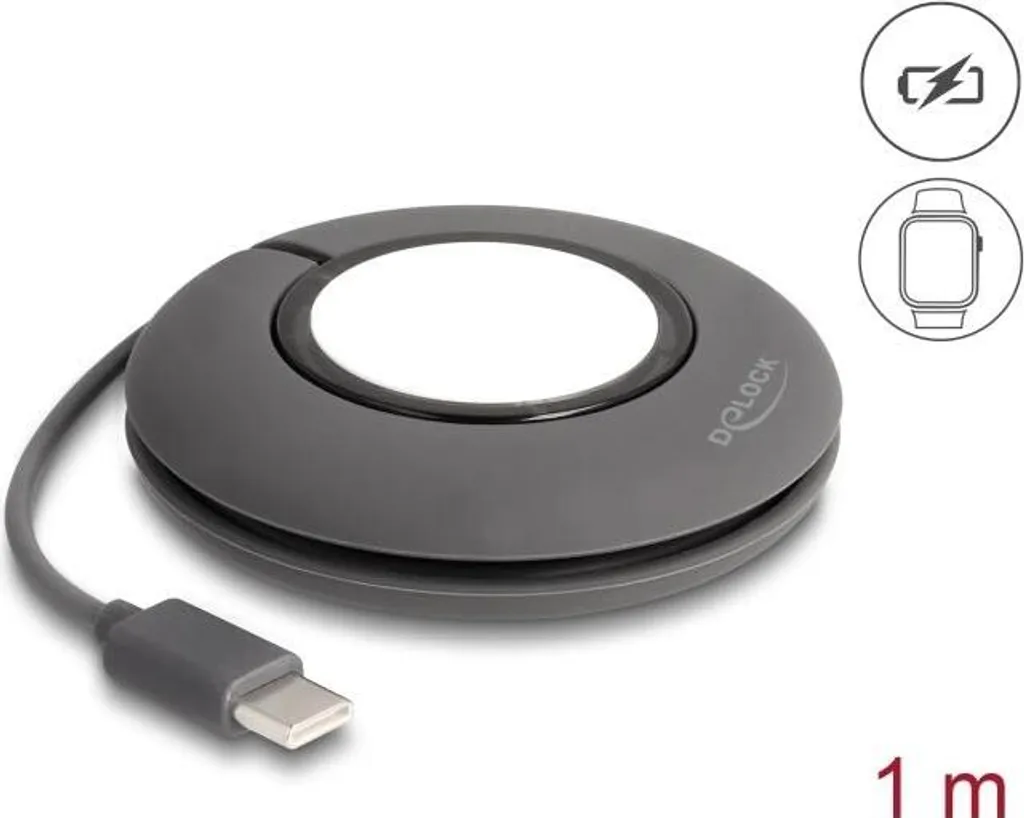 Câble USB-C pour Apple Watch 1m avec Enrouleur - Idéal Voyage et Gris