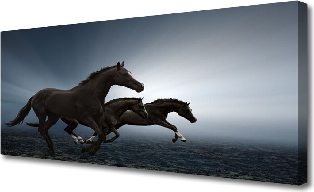 Tulup Leinwand-Bilder 125x50 Wandbild Canvas Kunstdruck Pferde Tiere