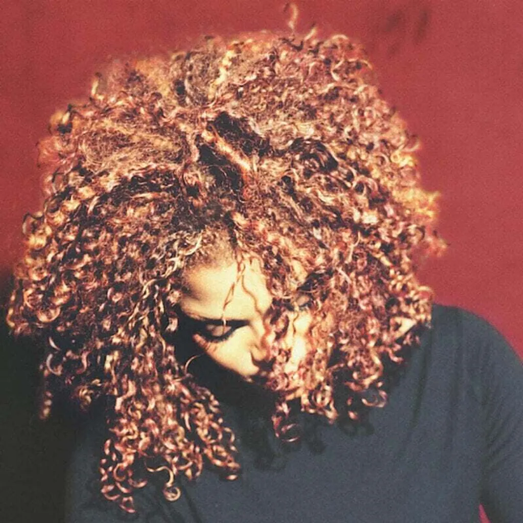 Janet Jackson The Velvet Rope Album Réédité 2 LP Sonorité Analogique R&B