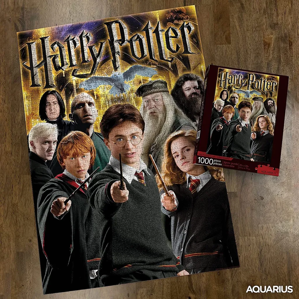 Puzzle Harry Potter 1000 pièces sans reflets - Assemblage Précis et Facile - 2