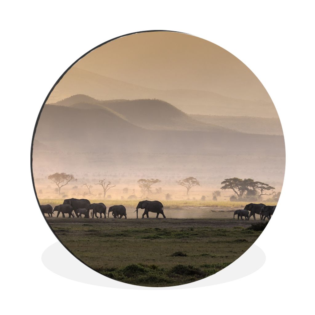 MuchoWow Aluminium Wandkreis Sonnenuntergang über dem Amboseli African National Park Ø 90 cm Wanddeko Modern Wohnzimmer - Mauerkreis - Wandbild...