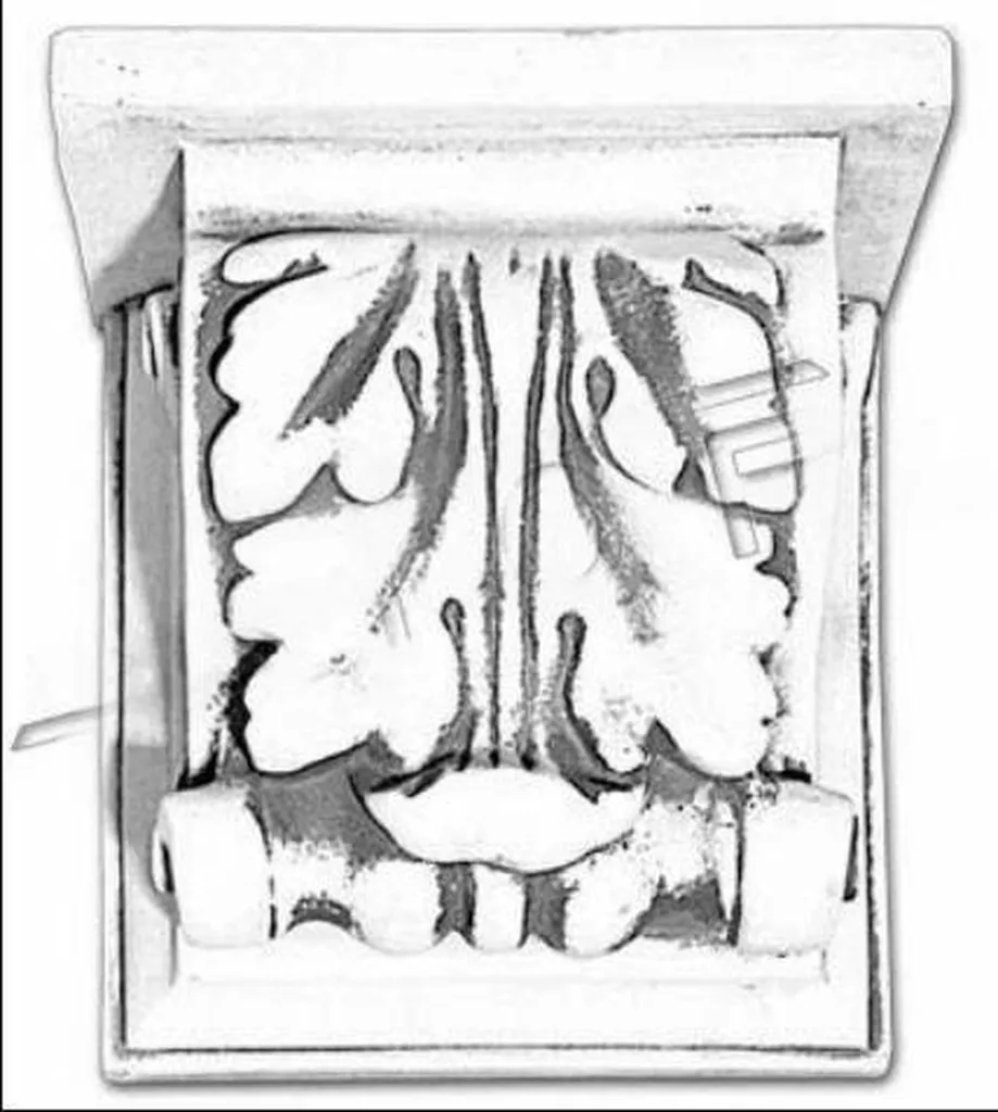 Habillage Mural de Jardin Relief Antique 1005 pour Mur de Terrasse