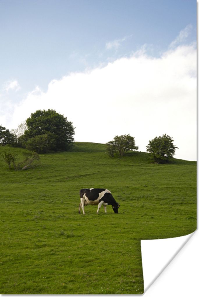 MuchoWow Poster Kuh - Tier - Landschaft 60x90 cm - Wanddekoration