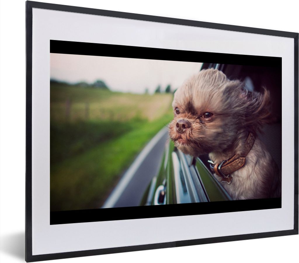 MuchoWow MuchoWow Gerahmtes Poster Hund - Auto - Tier 40x30 cm - Poster mit zchwarzem Bilderrahmen - Bilderrahmen - Poster im Rahmen