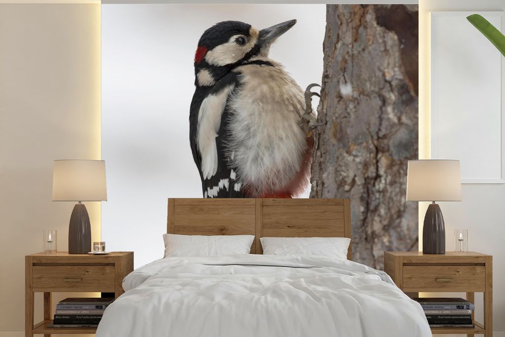 MuchoWow Fototapete für Wohnzimmer oder Schlafzimmer Wandtapete Vinyl Motivtapete Ein Buntspecht im Winter - 300x300 cm - Wanddekoration