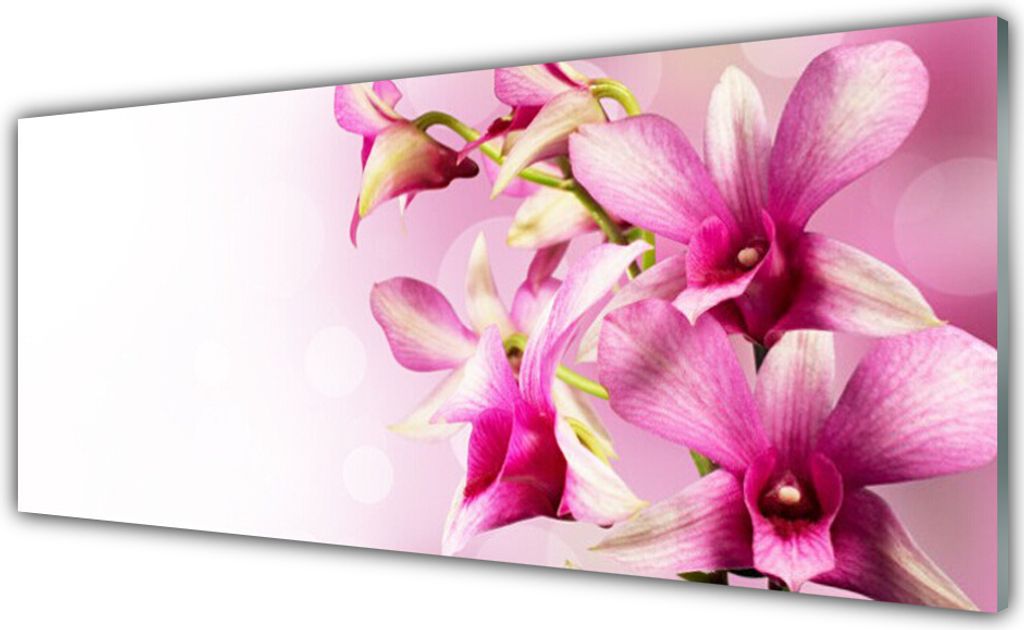 Acrylglasbilder 125x50 Wandbild Druck Blumen Pflanzen
