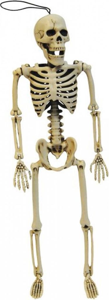 Positionierbares Halloween Skelett 35cm Produktbild 