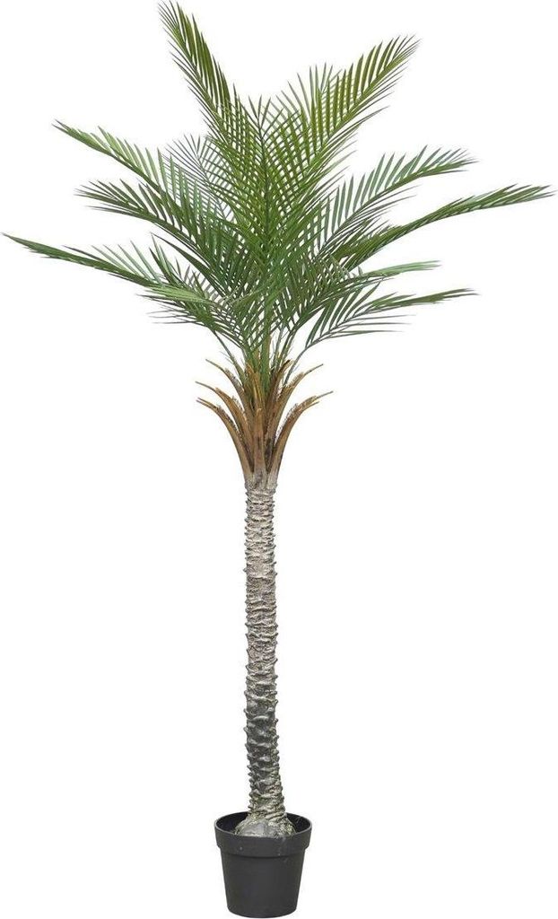 artplants.de Deko Phönixpalme ZOLTER, crossdoor, 180cm - Künstliche Dattelpalme