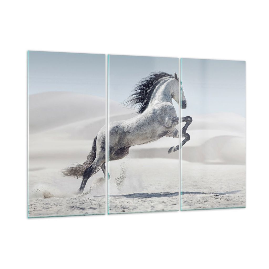 Bilder auf glas - Pferd Tier Natur - 105x70cm - Glasbilder - Wandbilder - Kunstdruck - zum Aufhängen bereit - Wanddekoration aus Glas - Glas Bilde...