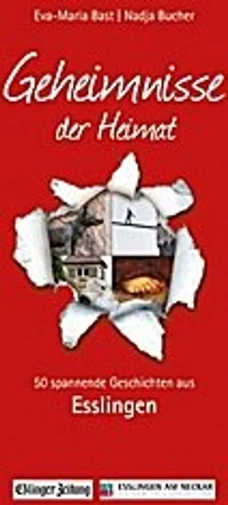 Comprendre Esslingen : Le Livre Geheimnisse der Heimat pour Tout Savoir