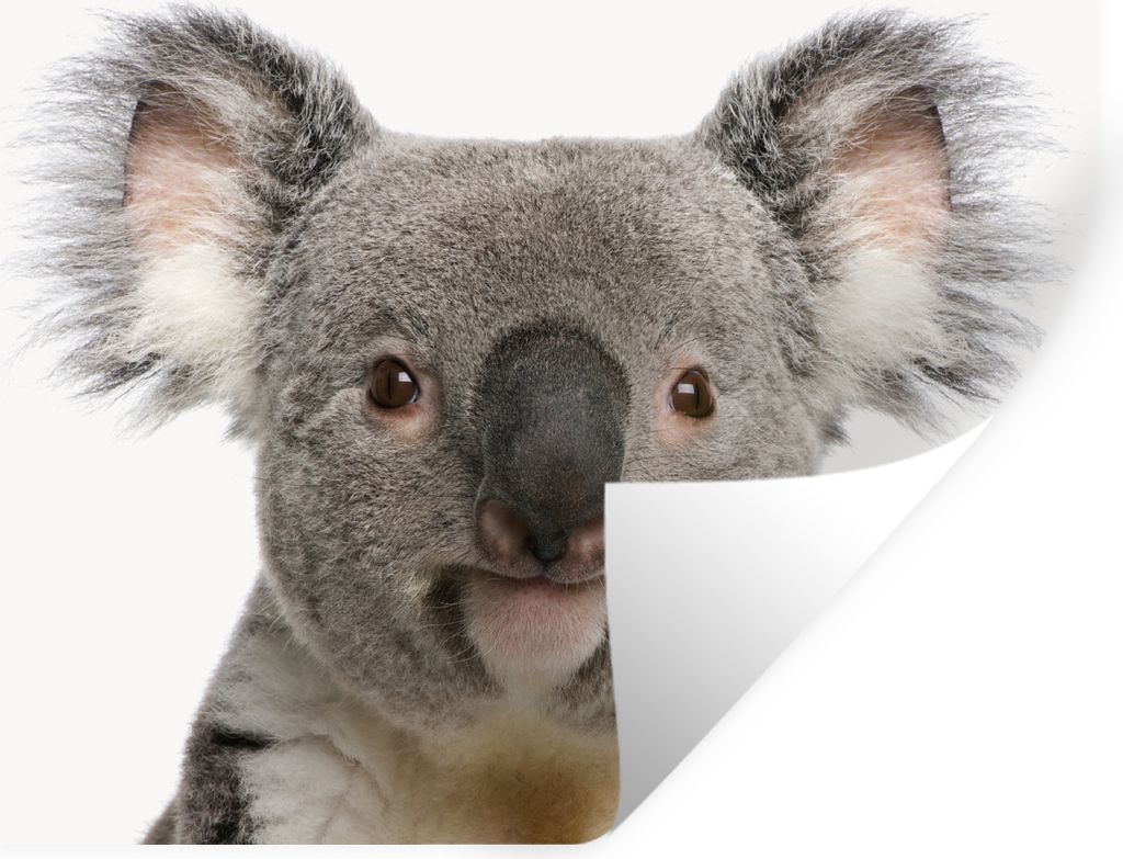 MuchoWow - Selbstklebend - Fototapeten