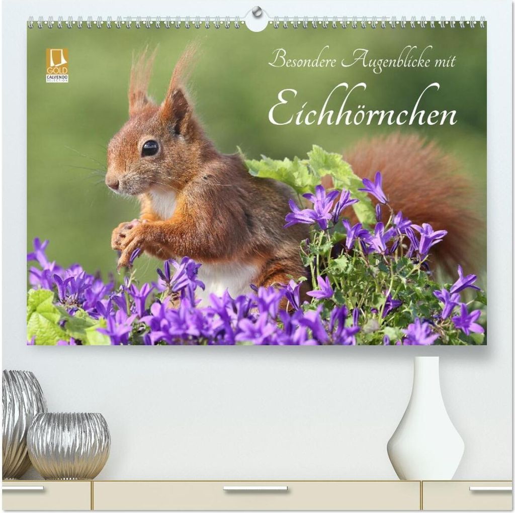 Besondere Augenblicke mit Eichhörnchen (hochwertiger Premium Wandkalender 2026 DIN A2 quer), Kunstdruck in Hochglanz