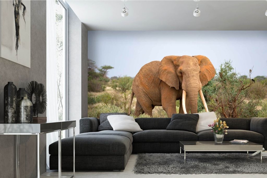 Vlies Fototapete ELEFANT IN DER SAVANNE 375 x 250 cm (inkl. Kleister) - Vlies Tapete, Wandtapete, Wandbilder - Tapete für Wohnzimmer Schlafzimmer,...