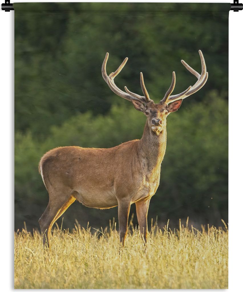 MuchoWow Wandteppich Wandbehang Hirsch - Geweih - Gras - Natur - Tiere - Grün 120x160 cm Tapisserie Dekoration Wandtuch - Wohnzimmer - Moderne
