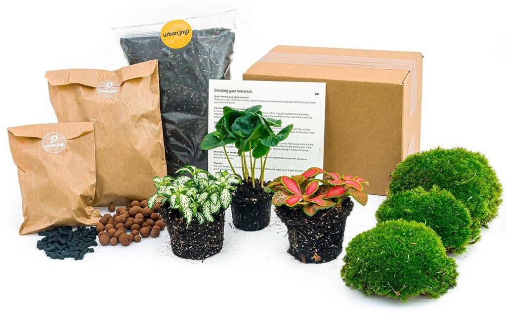 Grüne Flasche – Komplettset für den Garten aus Flaschen – Produktbild 