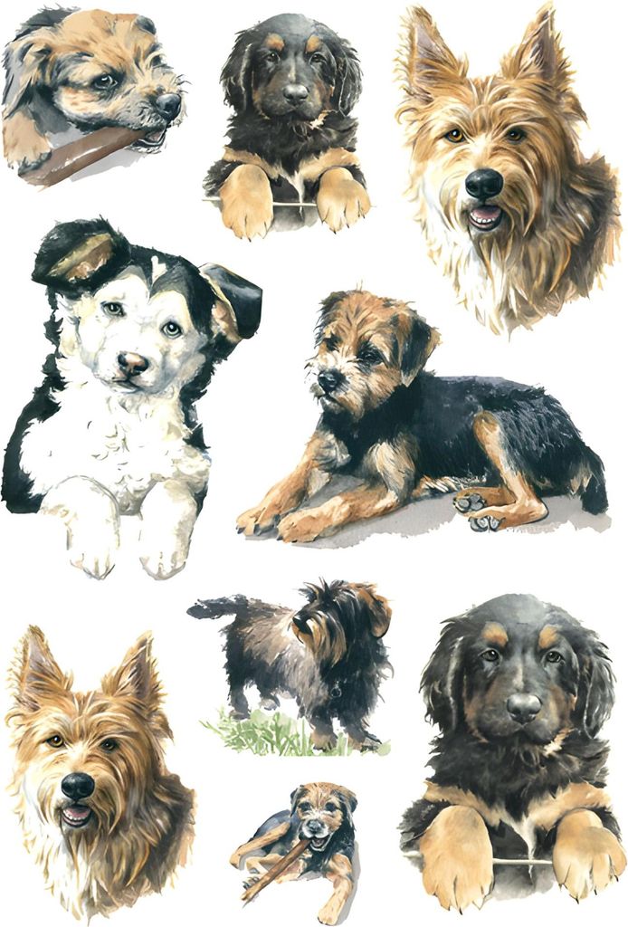Herma Sticker DECOR Tiere Hunde 3 Bl