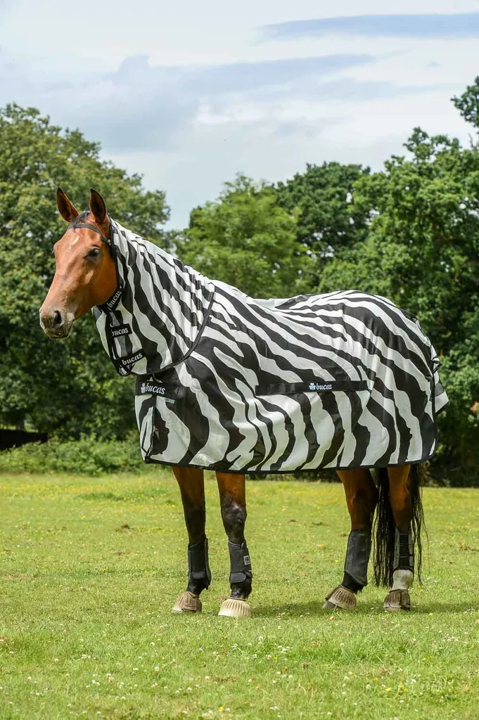 Benessere Cavallo: Coperta Bucas Buzz-Off Zebra 155 Full Neck - 2