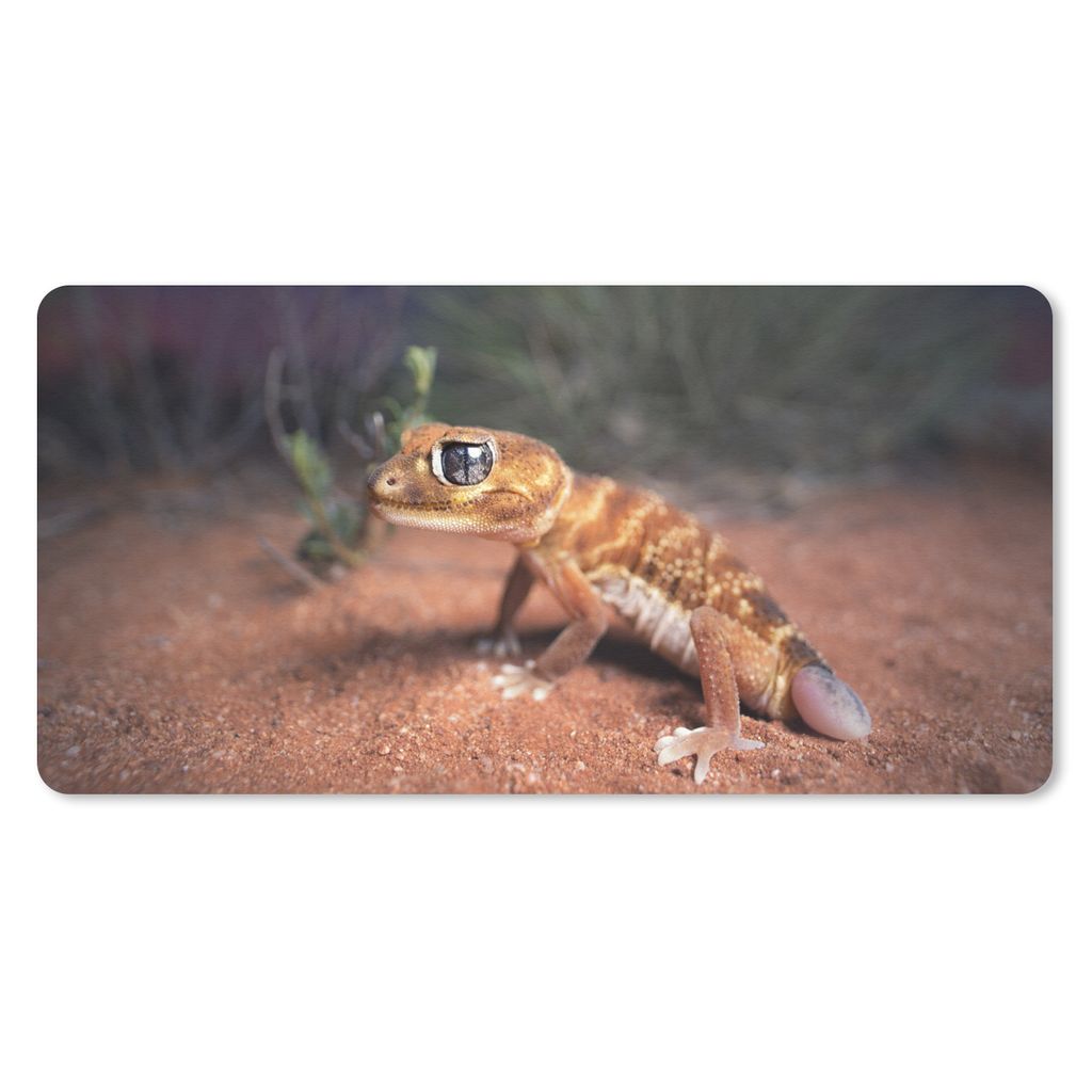 MuchoWow Schreibtischunterlage Jung - Gecko - Sand 80x40 cm - XXL Mauspad - Gaming Mauspad