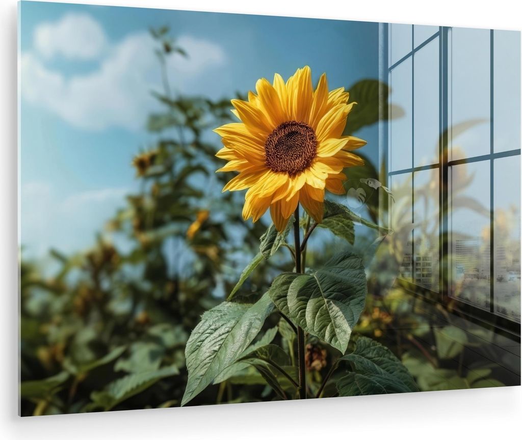 MuchoWow Glasbilder - Bilder auf Wandbild - Foto auf Glas Sonnenblumen - Strahlend blauer Himmel - Gras 30x20 cm Wanddekoration aus Glas - Acrylgla...