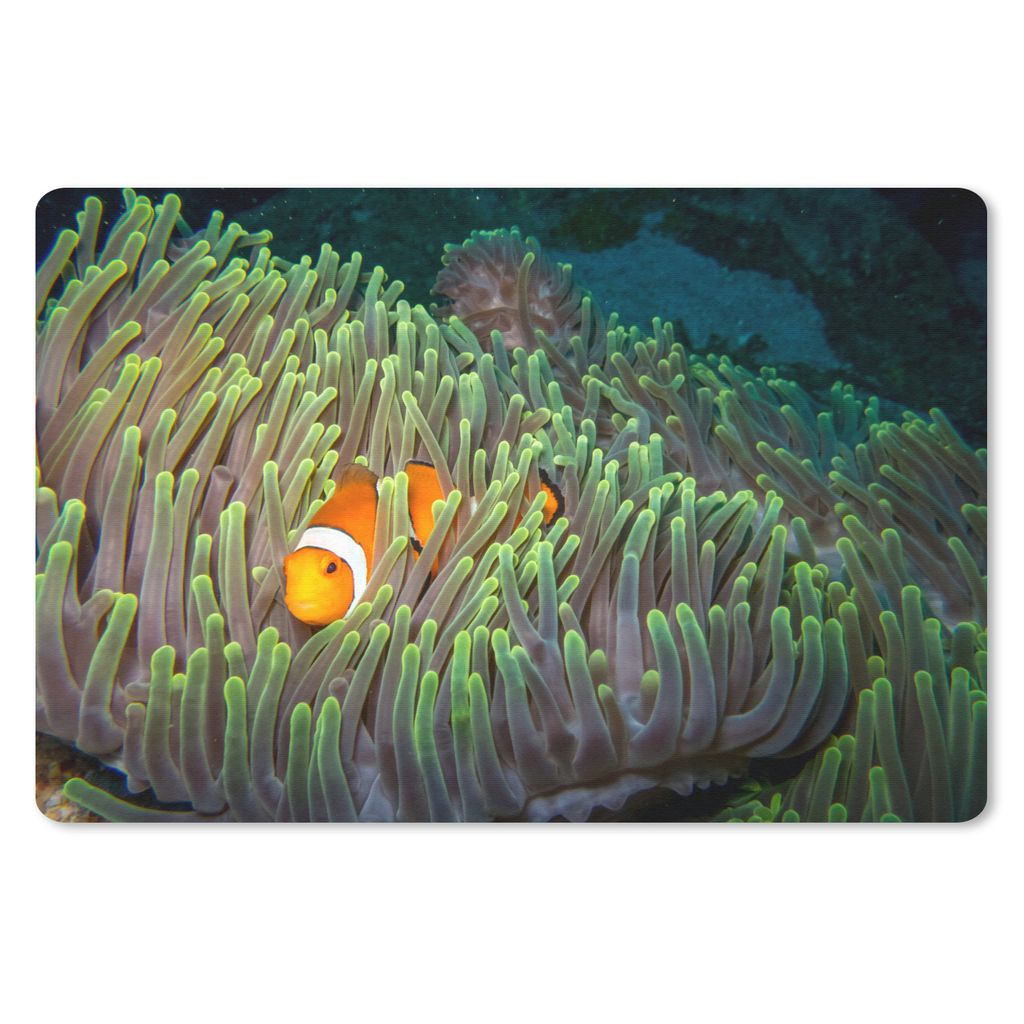 MuchoWow Schreibtischunterlage Fisch - Anemone - Grün 60x40 cm - XXL Mauspad - Großes Mauspad