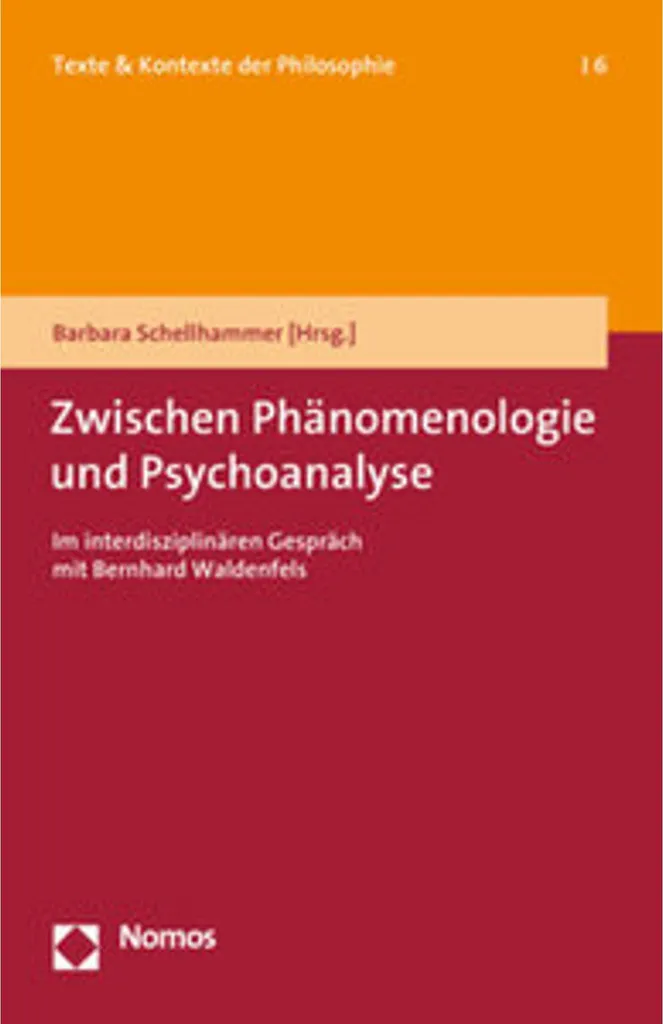 Livre Zwischen Phänomenologie und Psychoanalyse - Comprendre la théorie