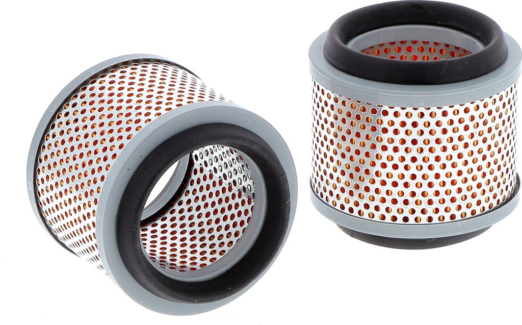 Luftfilter SA 12173