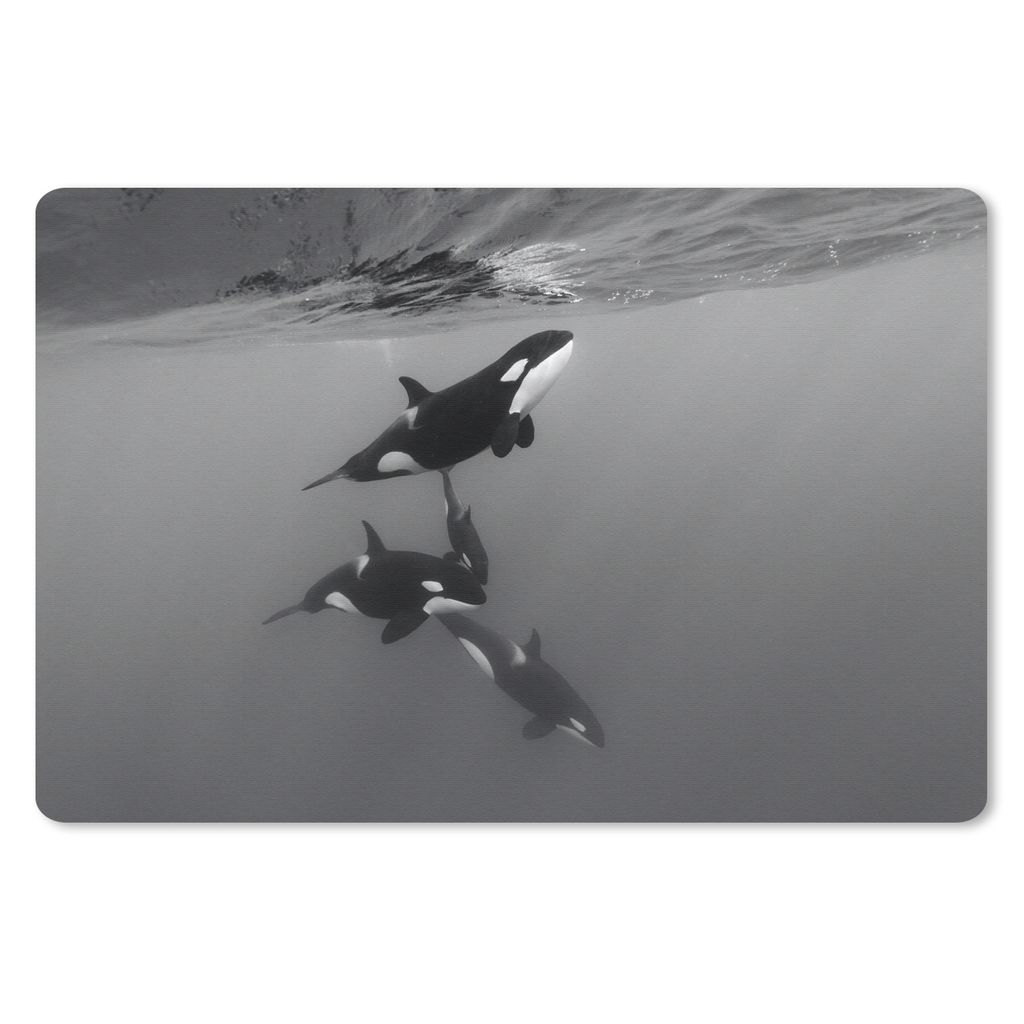 MuchoWow Mauspad Mousepad Orca - Wasser - Schwarz - Weiß 27x18 cm - Mousepads - Maus Mat - Pad - Mausunterlage - Büroartikel - Desk Matten