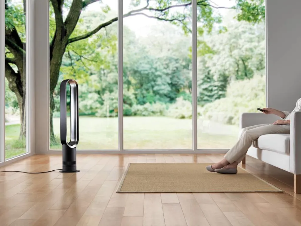 Dyson AM07 blanc argenté avec programmateur et télécommande magnétique - 19