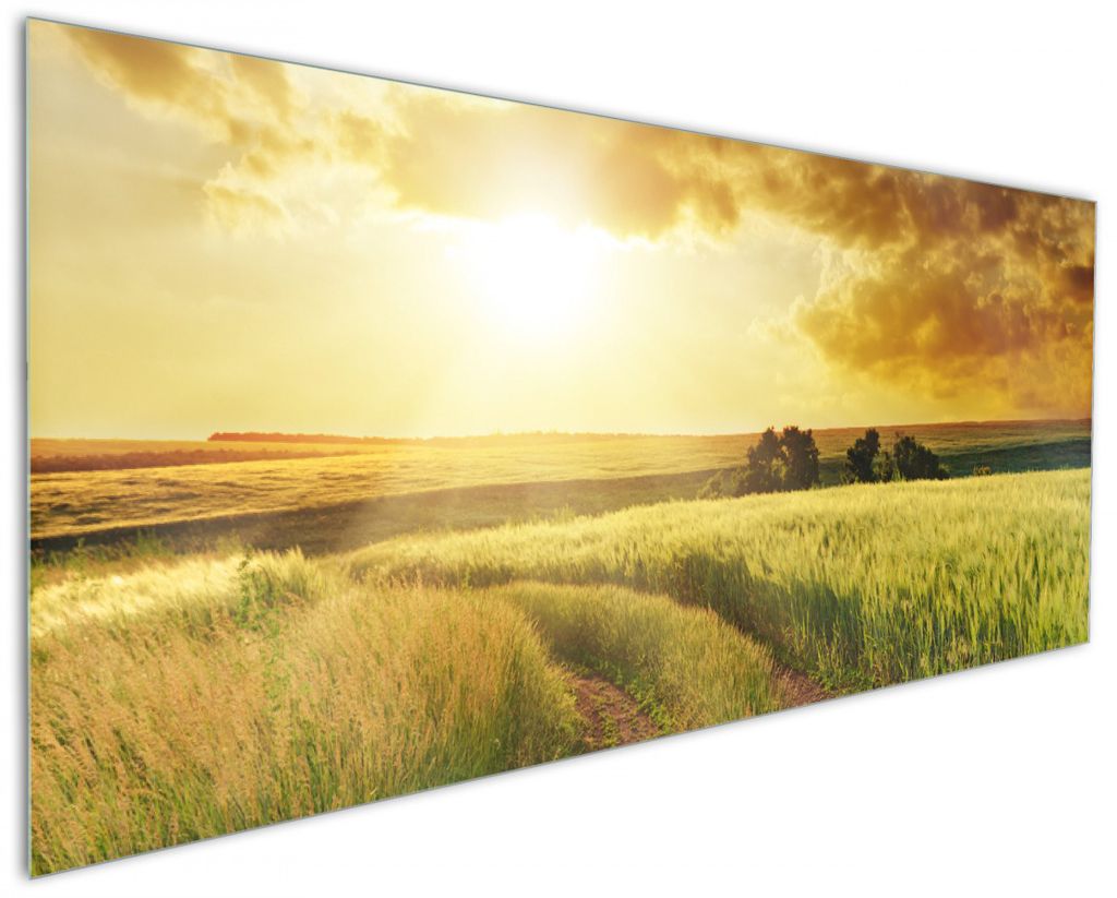 Wallario Küchenrückwand aus Glas, Größe: 125 x 50 cm, Motiv: Feldweg in den Sonnenuntergang | Spritzschutz | abwischbar | pflegeleicht | in