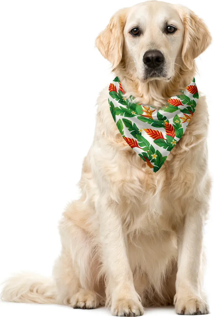 Bandana Cani Foglie di Banana 40x40 ABAKUHAUS - Resistente e Lavabile